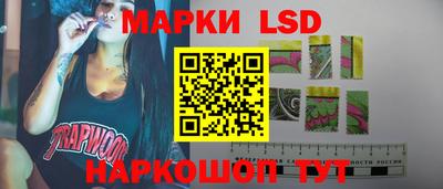 спайс Берёзовский