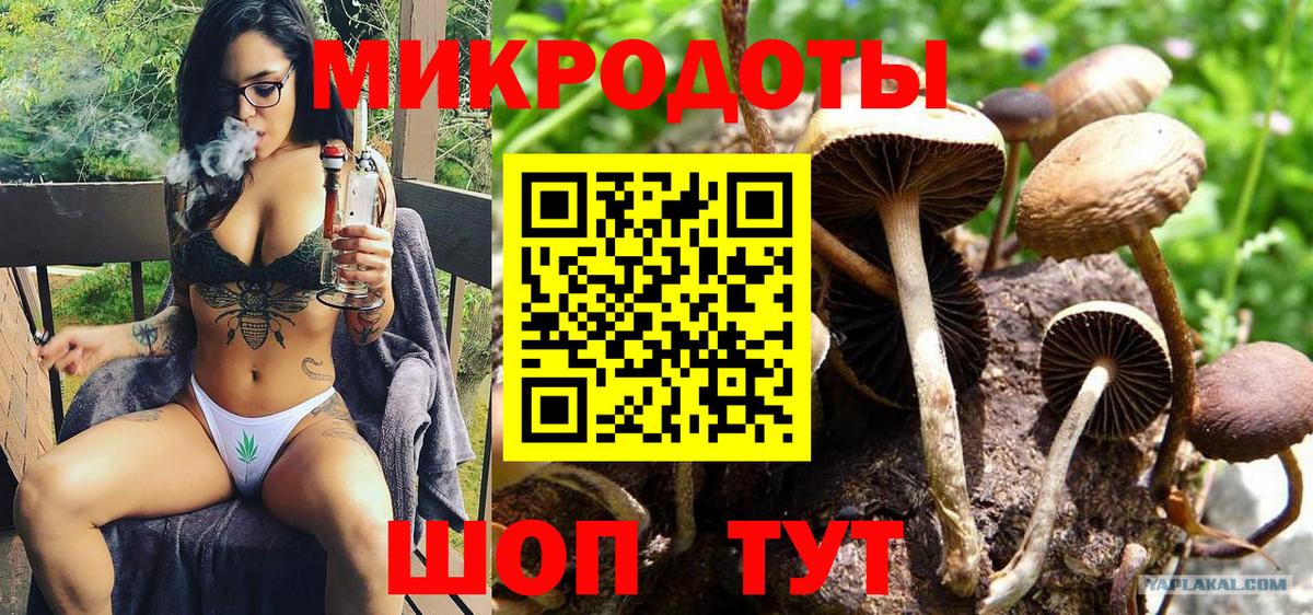 Киселёвск  Псилоцибиновые грибы мицелий  Вход с VPN 